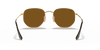 [B-15 Brown Lenses, Polished Arista Gold Frame]