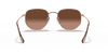 [Brown Gradient Lenses, Polished Copper Frame]