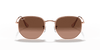 [Brown Gradient Lenses, Polished Copper Frame]