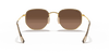 [Brown Lenses, Polished Arista Gold Frame]