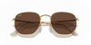 [Brown Lenses, Polished Arista Gold Frame]