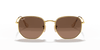 [Brown Lenses, Polished Arista Gold Frame]