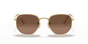 Brown Lenses, Polished Arista Gold Frame