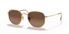 [Brown Lenses, Polished Arista Gold Frame]