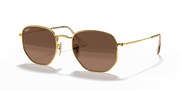 Brown Lenses, Polished Arista Gold Frame