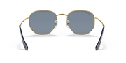 Polarized Blue/Silver Lenses, Polished Arista Gold Frame