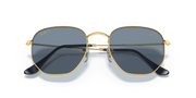 Polarized Blue/Silver Lenses, Polished Arista Gold Frame