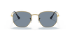 [Polarized Blue/Silver Lenses, Polished Arista Gold Frame]