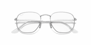 Clear Lenses, Polished Silver Frame