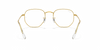 [Clear Lenses, Polished Gold Frame]