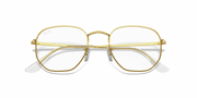 Clear Lenses, Polished Gold Frame