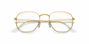 [Clear Lenses, Polished Gold Frame]