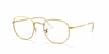 [Clear Lenses, Polished Gold Frame]