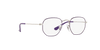 [Clear Lenses, Polished Violet On Silver Frame]