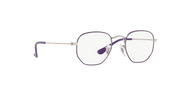 Clear Lenses, Polished Violet On Silver Frame