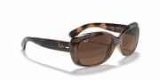 Brown/Grey Gradient Lenses, Polished Havana Frame