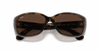 [Brown/Grey Gradient Lenses, Polished Havana Frame]