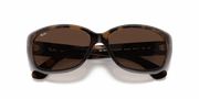 Brown/Grey Gradient Lenses, Polished Havana Frame