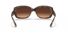 [Pink/Brown Gradient Lenses, Polished Havana Frame]