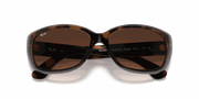 Pink/Brown Gradient Lenses, Polished Havana Frame