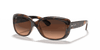 [Pink/Brown Gradient Lenses, Polished Havana Frame]