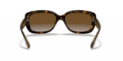 Brown Lenses, Polished Light Havana Frame