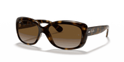 Brown Lenses, Polished Light Havana Frame