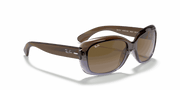 Brown Gradient Lenses, Polished Brown Frame