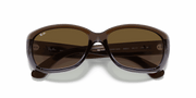 Brown Gradient Lenses, Polished Brown Frame