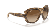 Brown Gradient Dark Brown Lenses, Polished Havana Frame