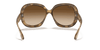 [Brown Gradient Dark Brown Lenses, Polished Havana Frame]