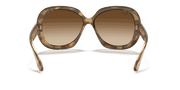 Brown Gradient Dark Brown Lenses, Polished Havana Frame