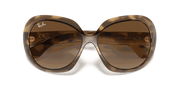 Brown Gradient Dark Brown Lenses, Polished Havana Frame