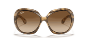 Brown Gradient Dark Brown Lenses, Polished Havana Frame