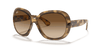 [Brown Gradient Dark Brown Lenses, Polished Havana Frame]