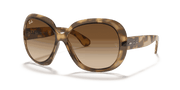 Brown Gradient Dark Brown Lenses, Polished Havana Frame