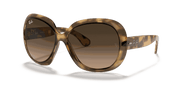 Pink Gradient Brown Lenses, Polished Havana Frame