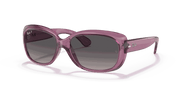 Grey Gradient Polar Lenses, Polished Transparent Violet Frame