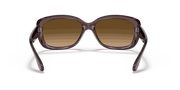 Brown Gradient Polar Lenses, Polished Transparent Dark Brown Frame