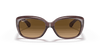 [Brown Gradient Polar Lenses, Polished Transparent Dark Brown Frame]