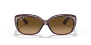 Brown Gradient Polar Lenses, Polished Transparent Dark Brown Frame