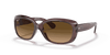 [Brown Gradient Polar Lenses, Polished Transparent Dark Brown Frame]