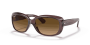 Brown Gradient Polar Lenses, Polished Transparent Dark Brown Frame