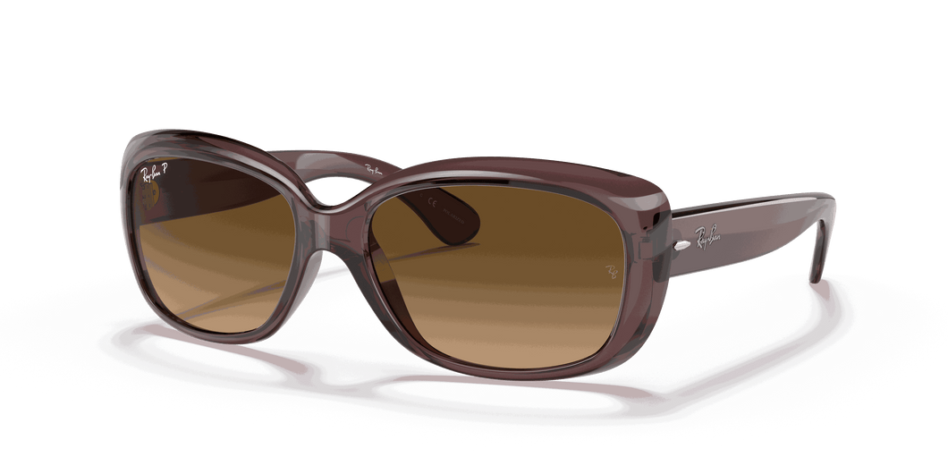 [Brown Gradient Polar Lenses, Polished Transparent Dark Brown Frame]