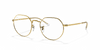 [Clear Lenses, Polished Gold Frame]