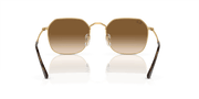 Light Brown Lenses, Polished Arista Gold Frame