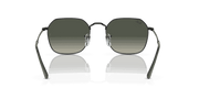 Grey Lenses, Polished Black Frame