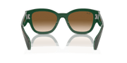 Clear & Brown Lenses, Polished Striped Green On Green Frame