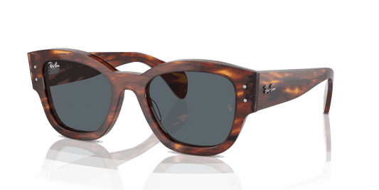 [Blue Lenses, Polished Striped Havana Frame]