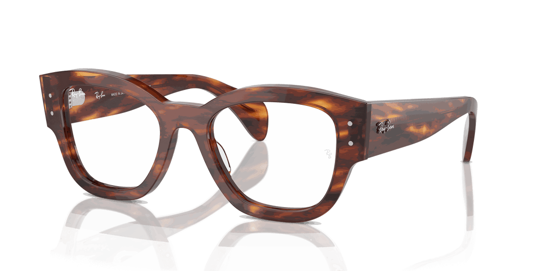 [Clear Lenses, Polished Striped Havana Frame]